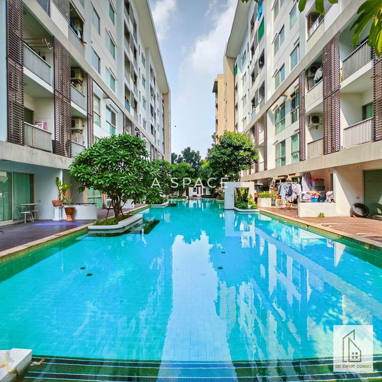 สระว่ายน้ำ คอนโด a space sukhumvit 77